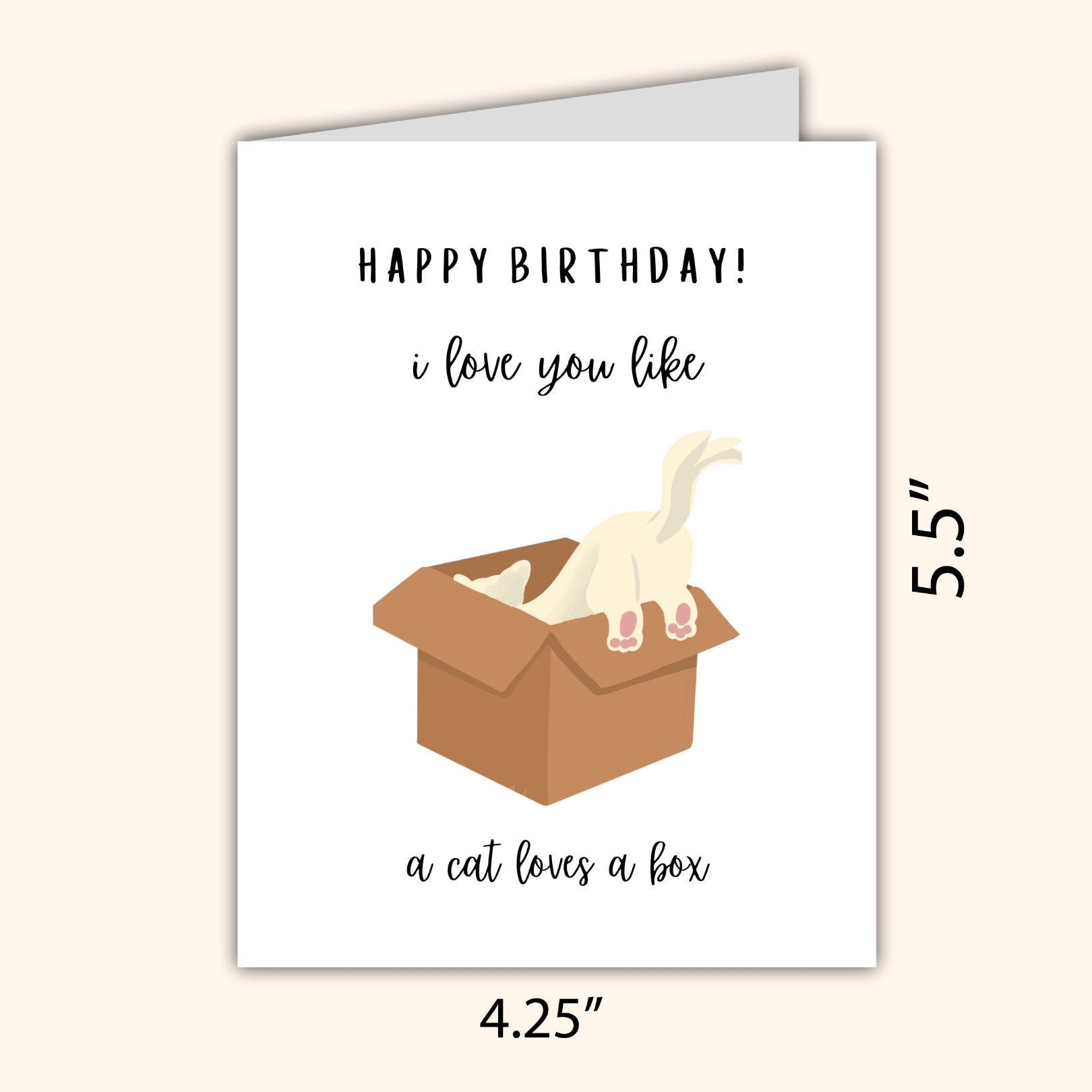 I Love You Like A Cat Loves A Box Birthday Greetings Card | Animal Funny Punny Birthday Card | Husband Wife Boyfriend Girlfriend Partner