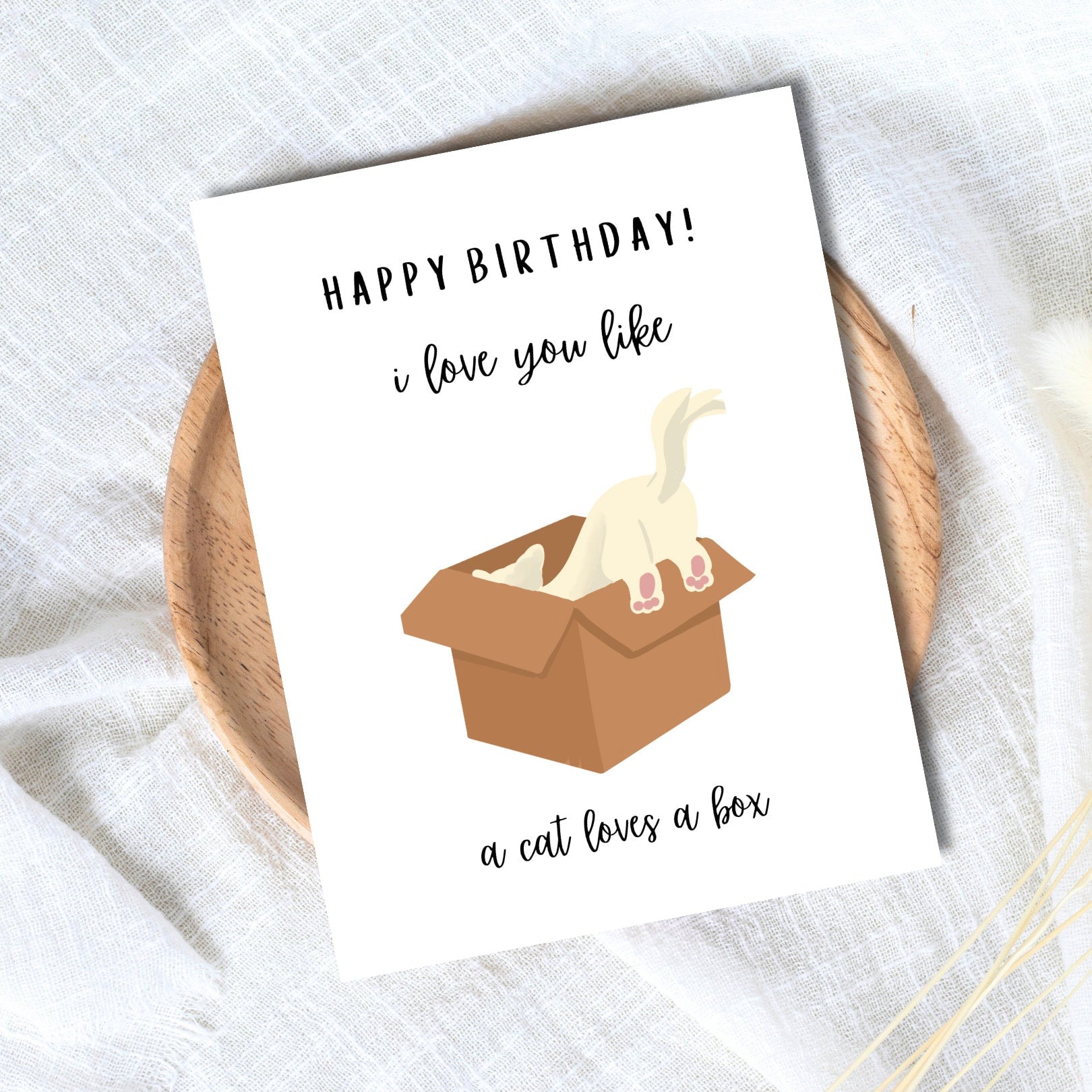 I Love You Like A Cat Loves A Box Birthday Greetings Card | Animal Funny Punny Birthday Card | Husband Wife Boyfriend Girlfriend Partner