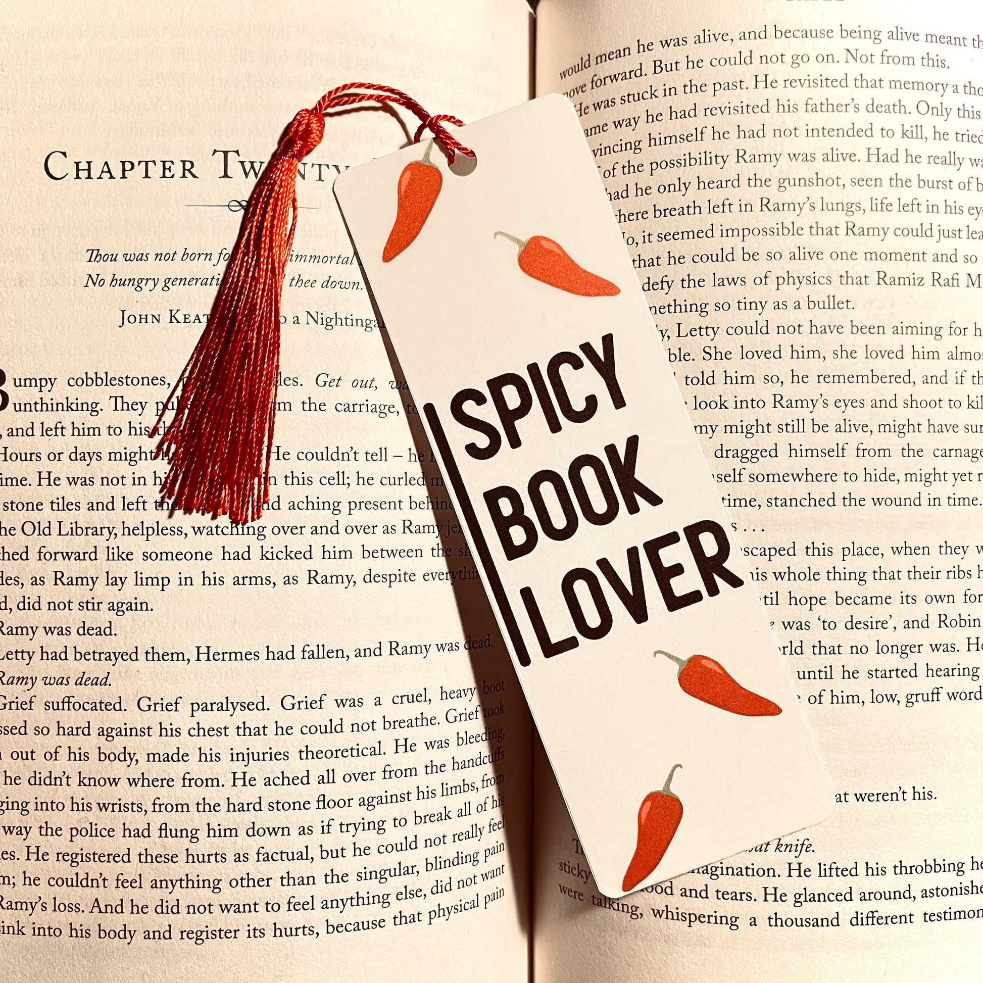Spicy Book Lover Bookmark - Funny Literary bookmark by Magic & Meaning