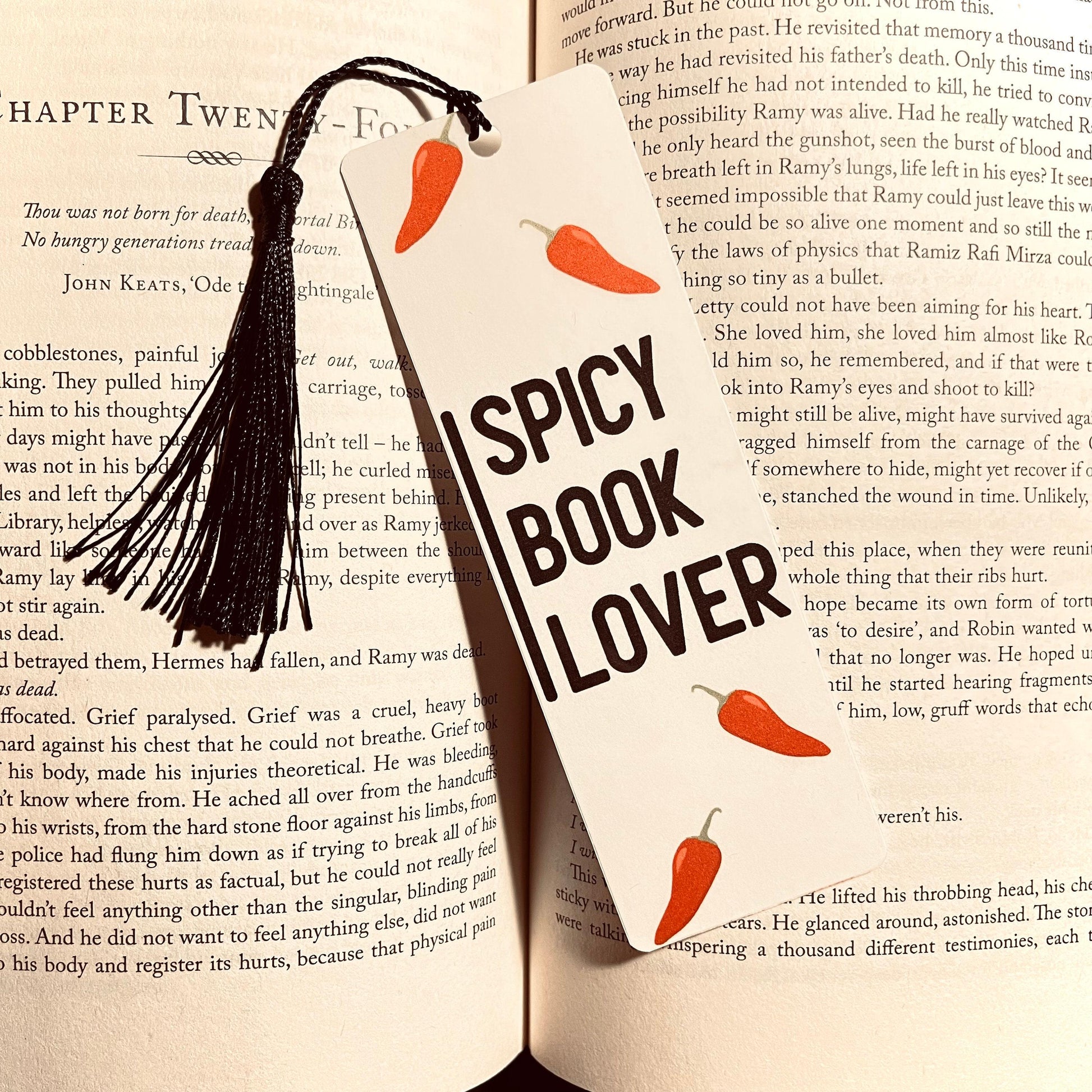 Spicy Book Lover Bookmark - Funny Literary bookmark by Magic & Meaning