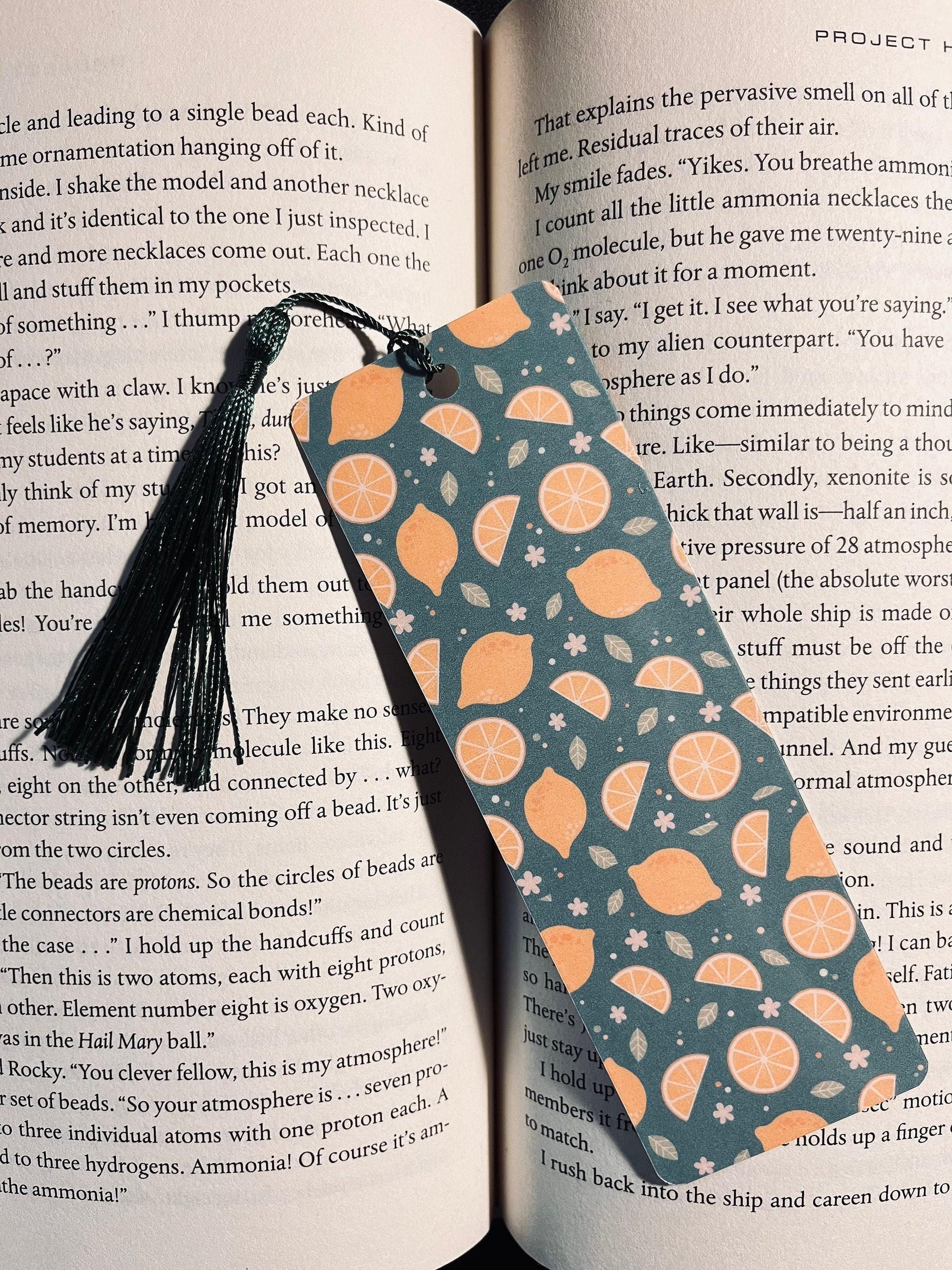 Fruity Bookmark: Handmade Laminated Design with Colorful Tassel bookmark by Magic & Meaning