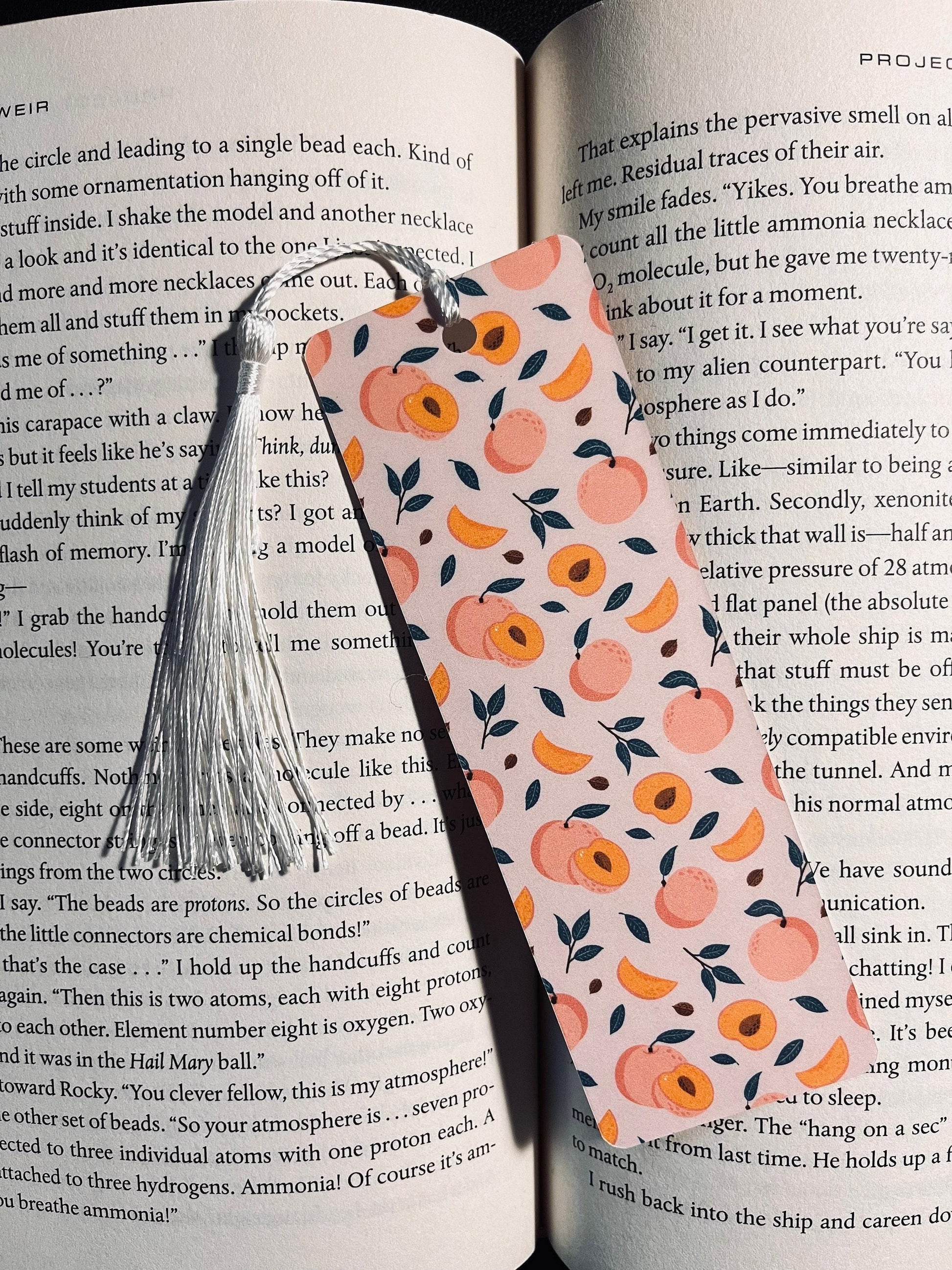 Fruity Bookmark: Handmade Laminated Design with Colorful Tassel bookmark by Magic & Meaning