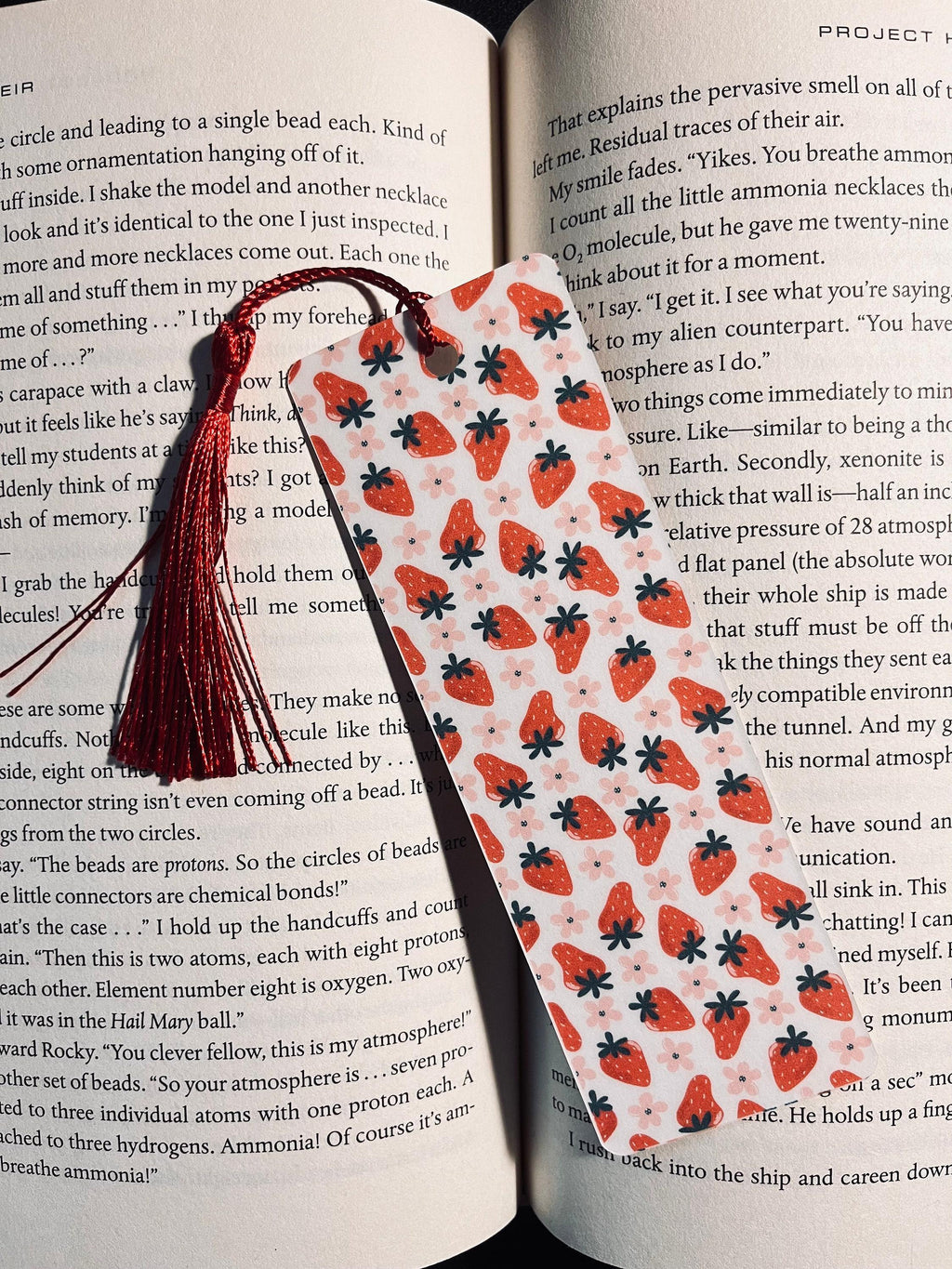 Fruity Bookmark: Handmade Laminated Design with Colorful Tassel bookmark by Magic & Meaning