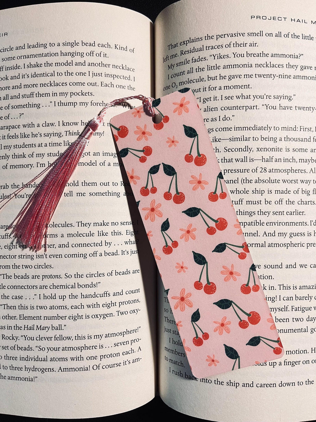 Fruity Bookmark: Handmade Laminated Design with Colorful Tassel bookmark by Magic & Meaning