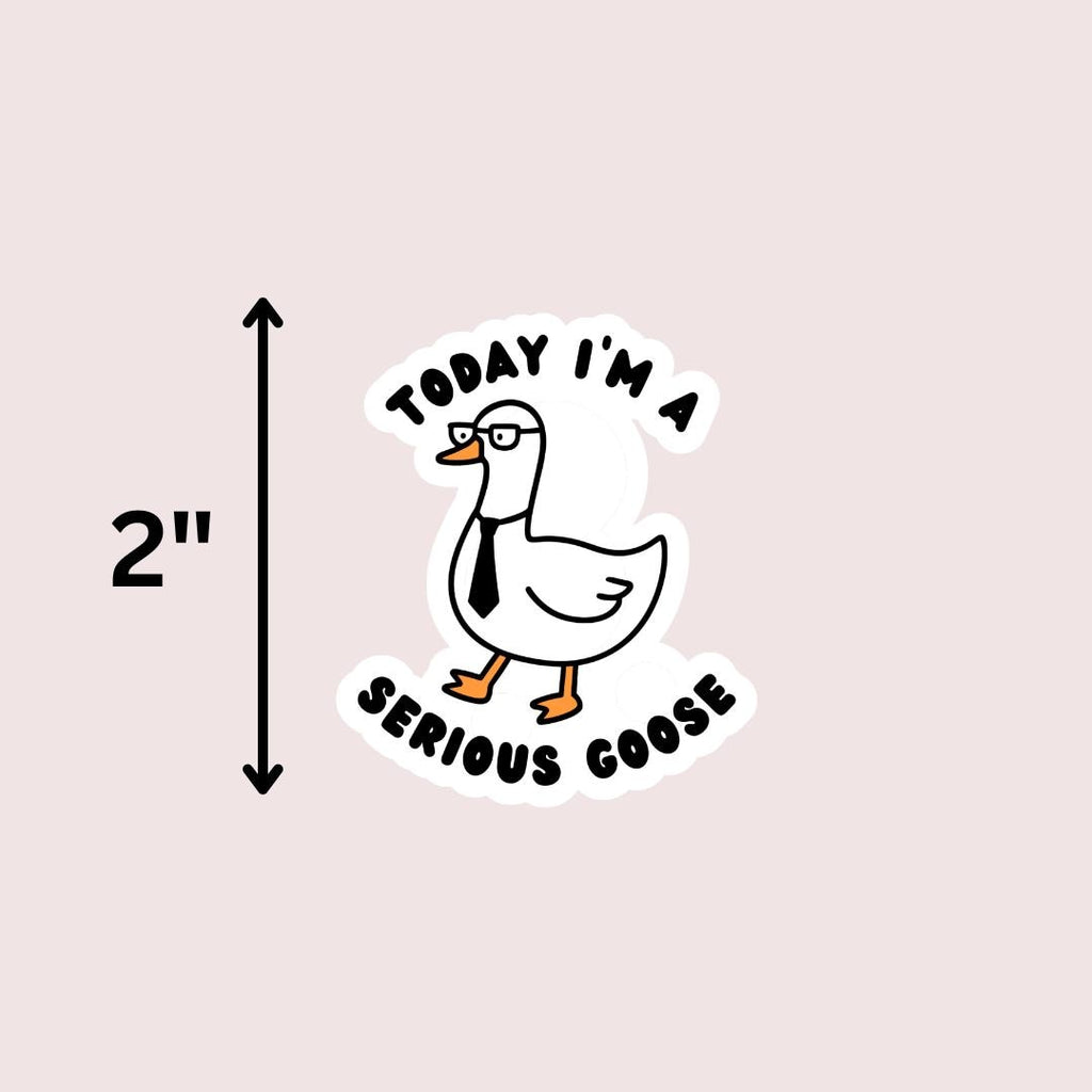 Today I'm A Serious Goose Kindle Sticker: Silly Goose Vinyl Decal sticker by Magic & Meaning