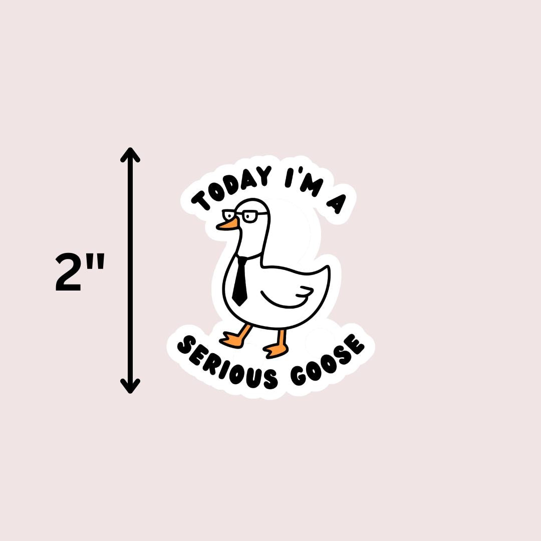 Today I'm A Serious Goose Kindle Sticker: Silly Goose Vinyl Decal sticker by Magic & Meaning