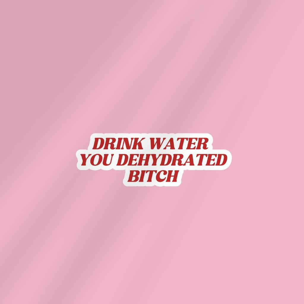 Drink Water You Dehydrated B*itch - Funny Sarcastic Sticker for Laptop/Waterbottle sticker by Magic & Meaning