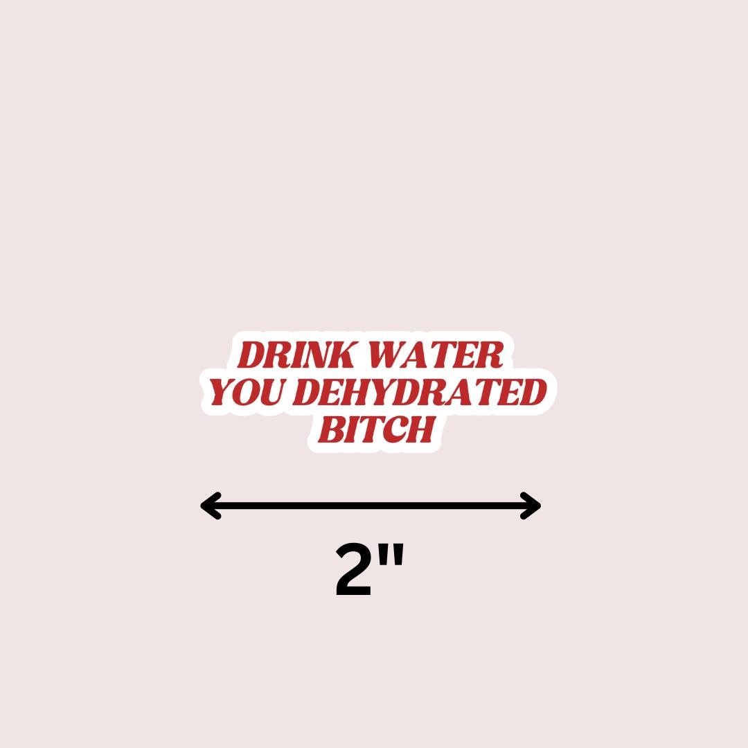 Drink Water You Dehydrated B*itch - Funny Sarcastic Sticker for Laptop/Waterbottle sticker by Magic & Meaning